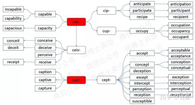 詞根詞綴法巧記考研英語詞彙詞根cap抓
