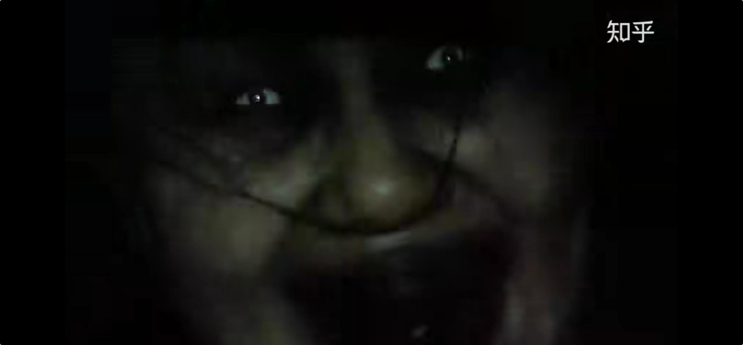 揭开诅咒背后的黑暗秘密