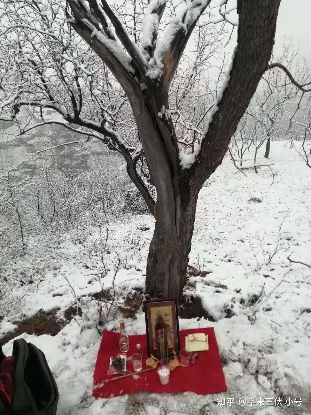 雷击木科普帖真假雷击木的辨别雷击木使用中的一些注意事项