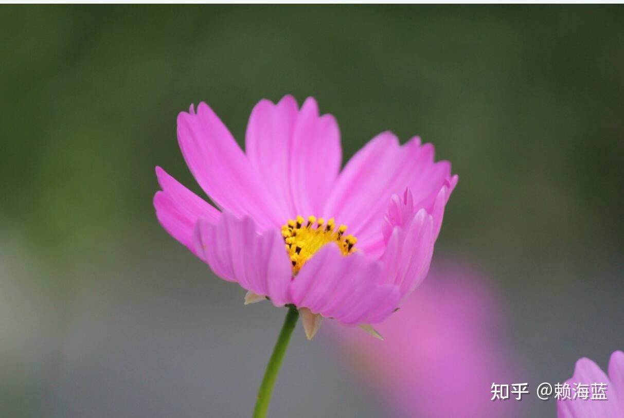 混沌理论下的命运之舞