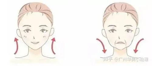 成年人“发腮”有得解,4个方法助你回归小V脸! - 知乎
