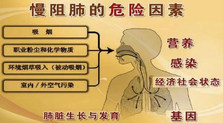 copd的危险因素