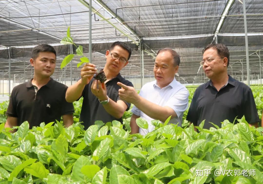 农业职业经理人等高端优秀农业人才将成为香饽饽