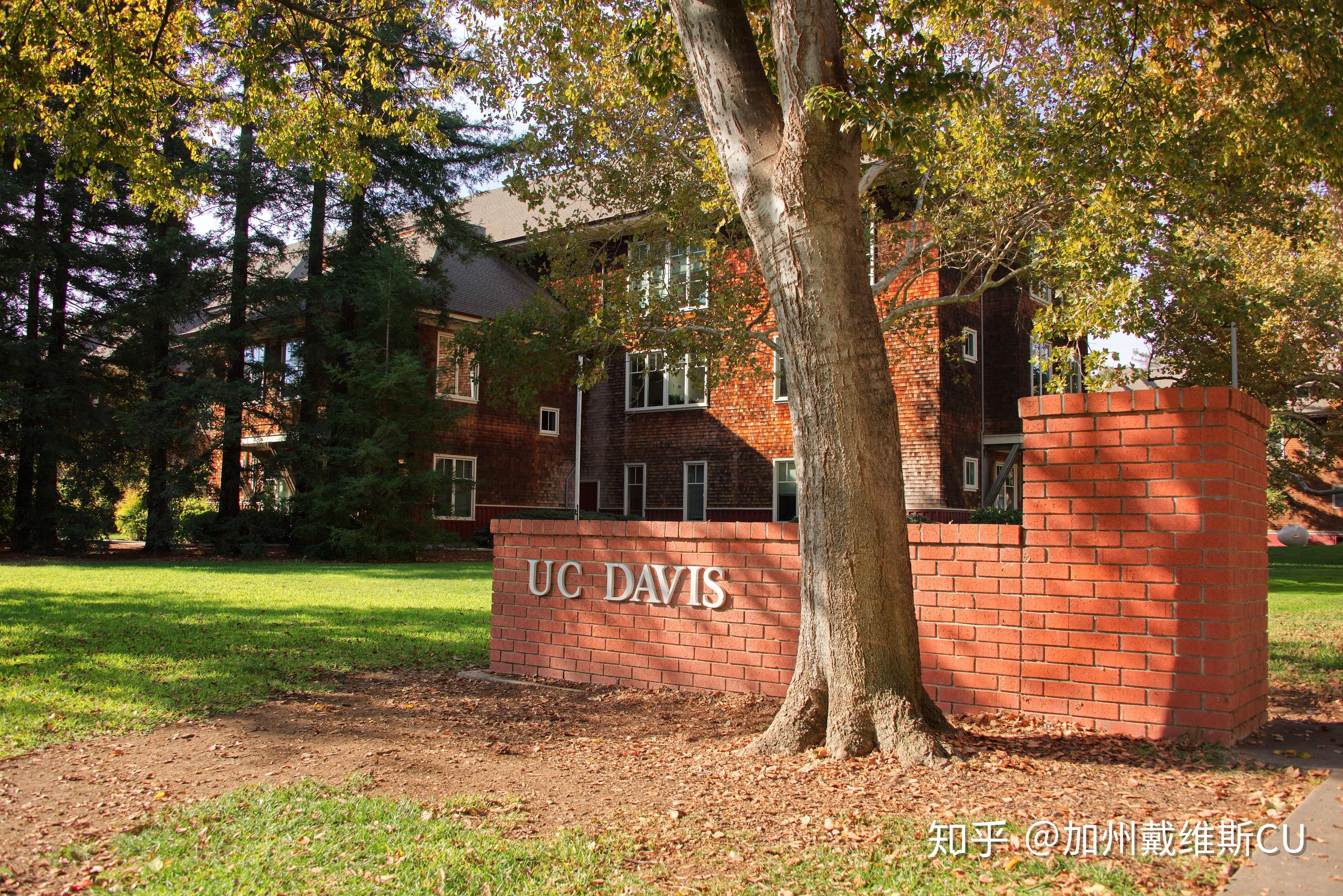 uc davis到底是怎么样的一个学校?