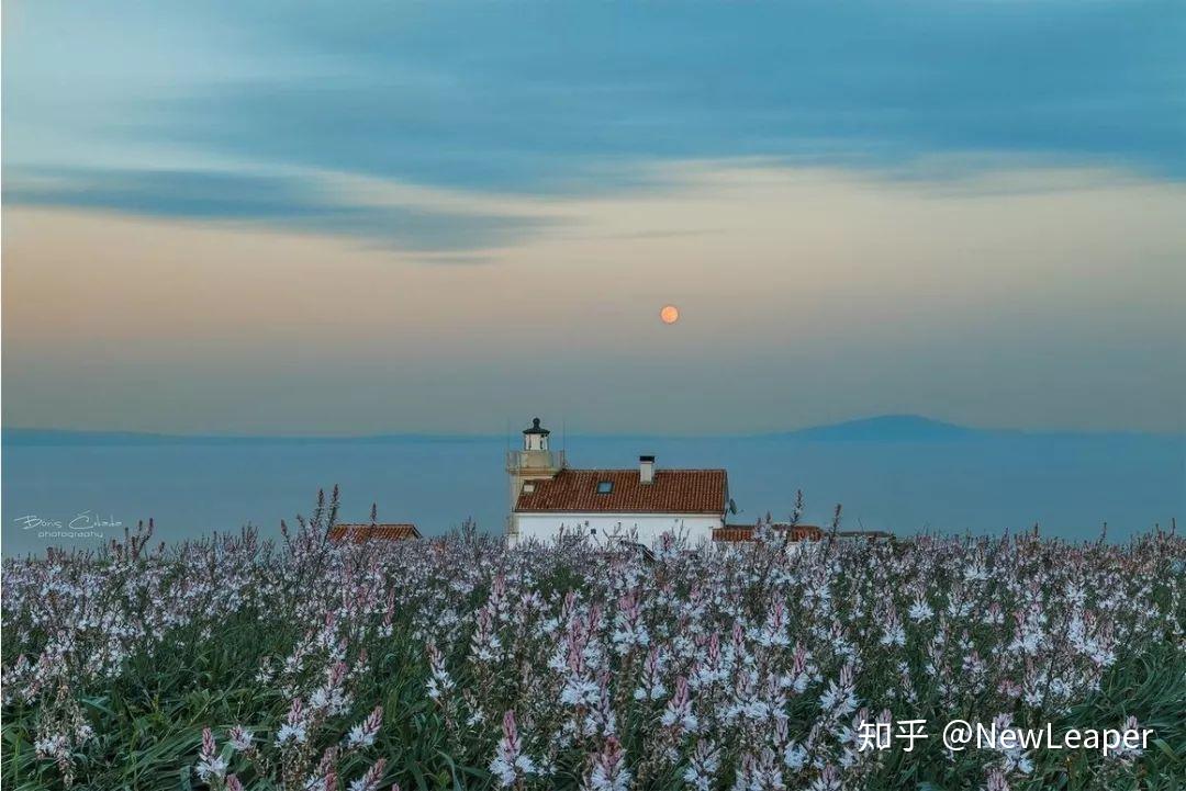  三年后疫情能结束吗知乎小说全文(三年之内疫情能控制吗)