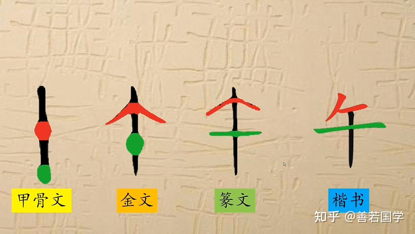 分解十二地支最深刻的解读(午) - 知乎