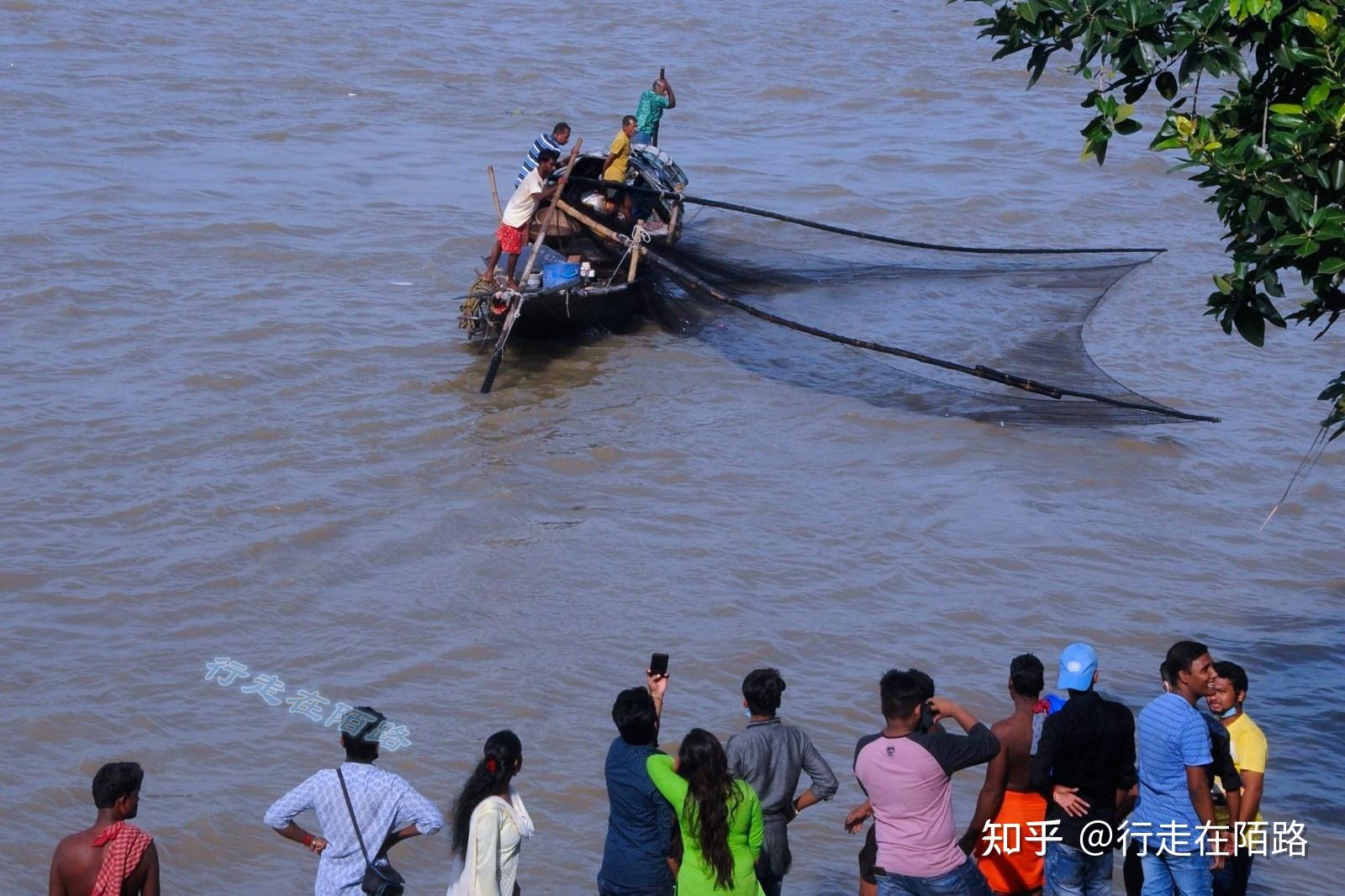 拖垮印度的恒河:大肠杆菌超标20万倍,威胁4亿人的健康 - 知乎