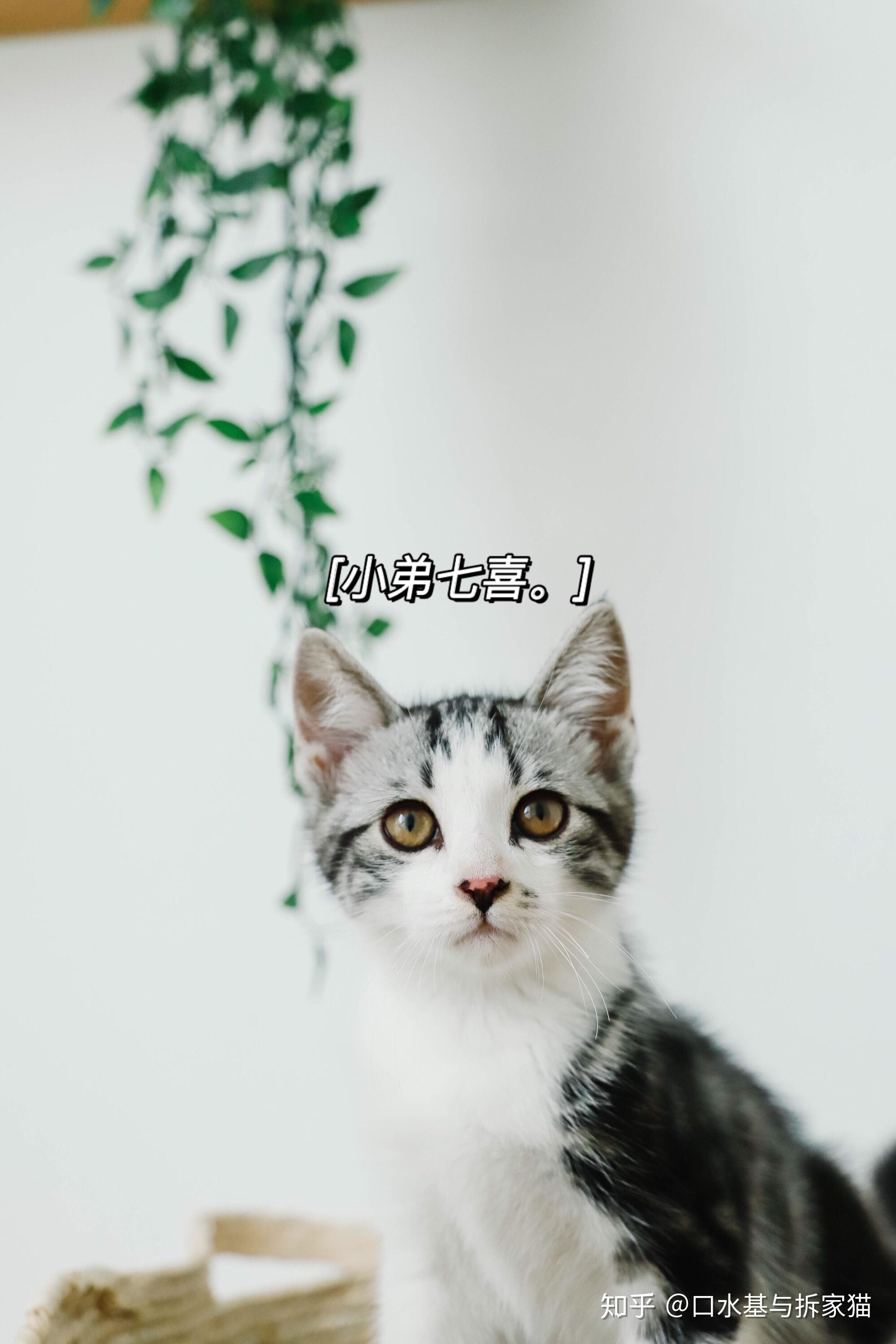 v2-9046e945ca7a58fe5deab917e205d5df_r.jpg