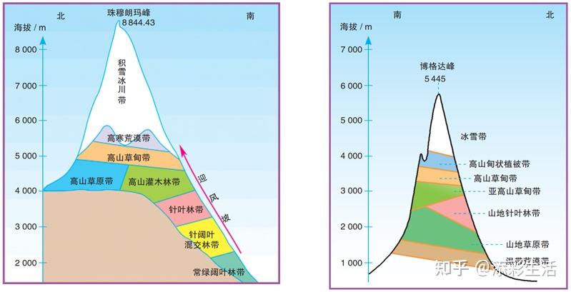 山地垂直自然带示意图图片