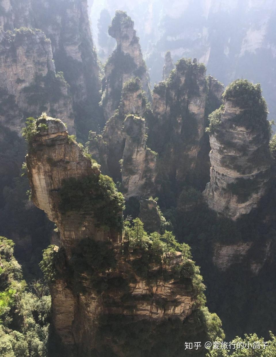 张家界旅游攻略品读天子山的传说览峰林奇观