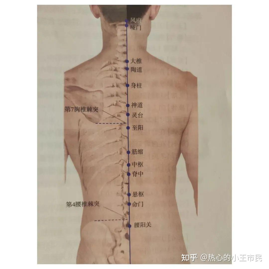 倪海厦《针灸》笔记2-2:任督脉与经络腧穴下 - 知乎