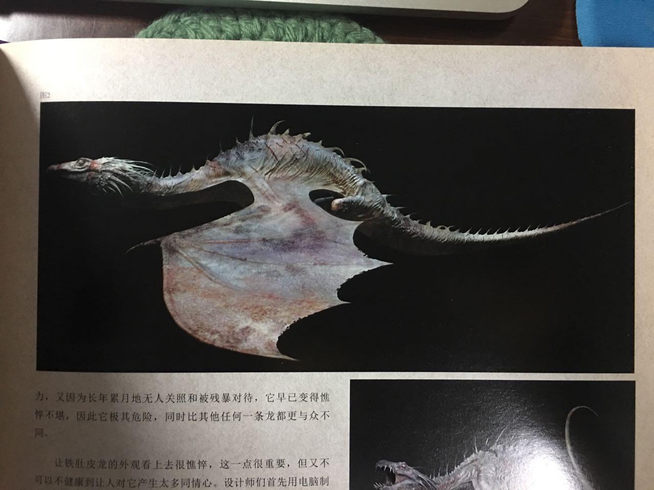 乌克兰铁肚皮