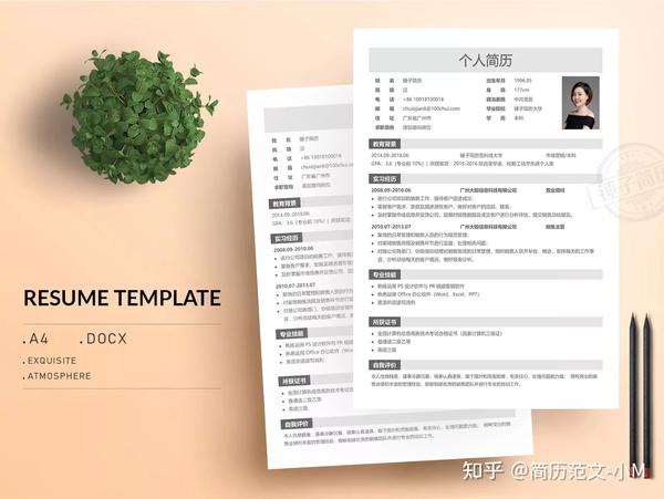 简历表格 个人简历(免费电子版个人简历)