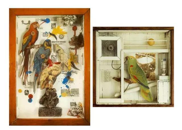 住在盒子里的幻想家,康奈尔