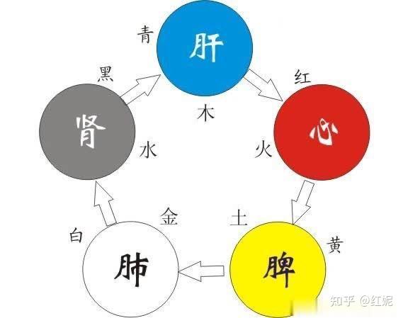 五色时时见脸色不对五脏有恙