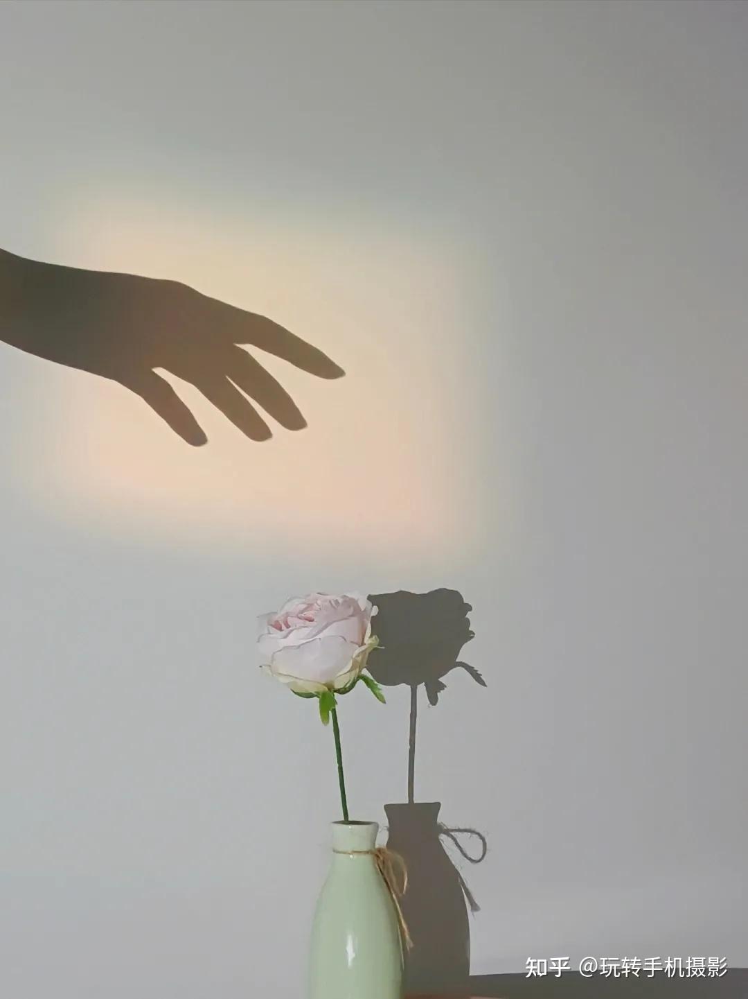 做出伸手去碰花的动作,让手的影子呈现在墙面.