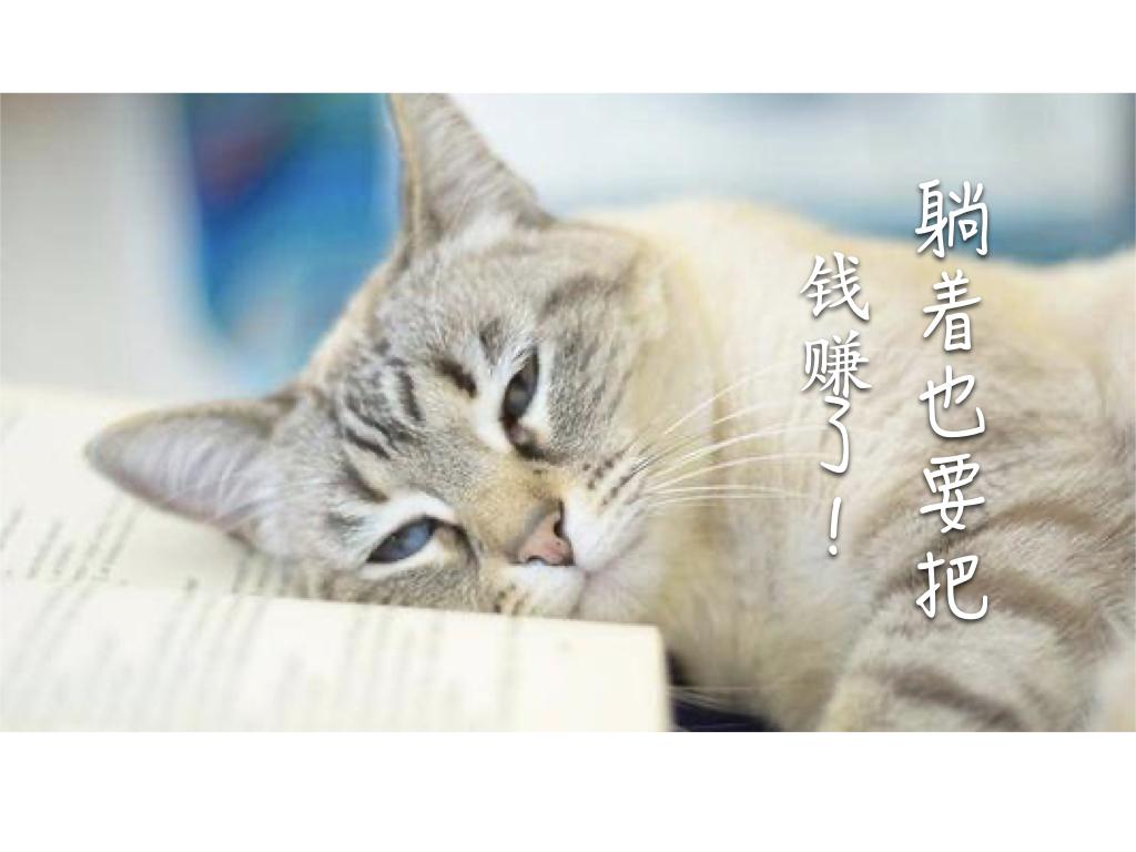 小白自媒体躺赚指南不能躺赚我养你啊