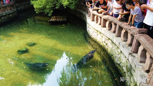 趵突泉景区 知乎