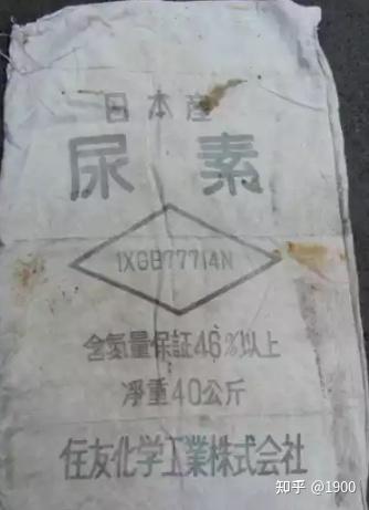 浙江当年富到什么程度?