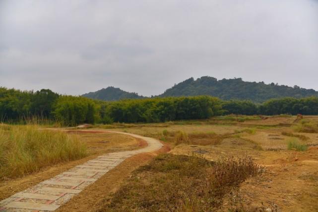 古驿道图鉴①远芳侵古道寻觅山林间