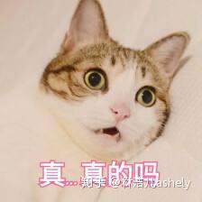 什么才叫喜欢呢 v2-90d7ca7904a5f3f9ac656915982681df_b.jpg