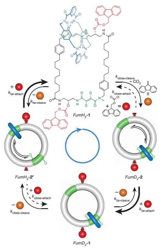 听诺奖弟子聊分子机器