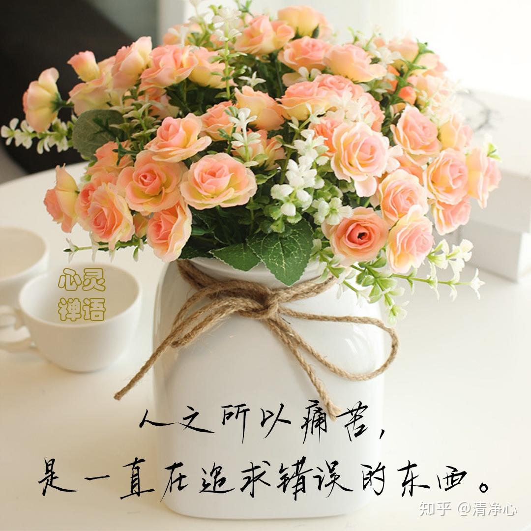 心灵禅语 - 知乎