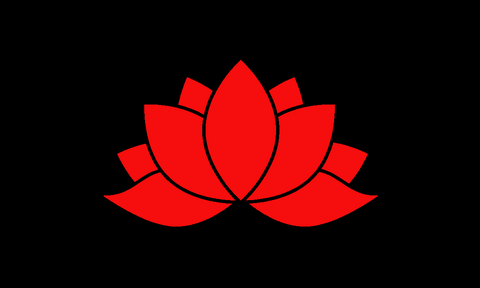 架空歷史 阿納朵魯大魔國 知乎