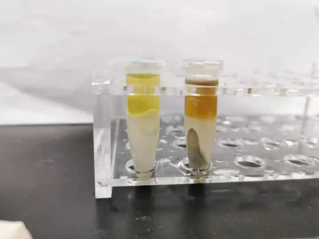 蛋白质组学前处理方法大揭秘!学会了这几招之后"包治百病"