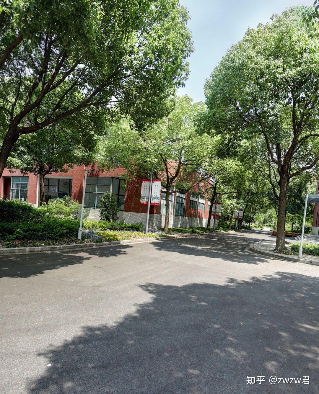上海杉达学院备考插班生是否需要报班