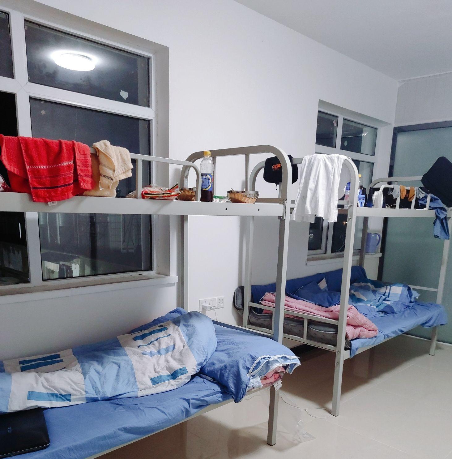 记录我在牧原养猪的日子深入一线