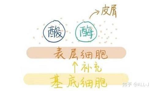 v2-910c37712bc52f90a50a7b4ced66839b_r.jpg