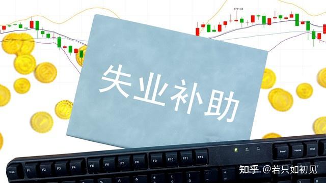 失业了怎么办？这6个方法帮你渡过难关，养活自己！ - 知乎
