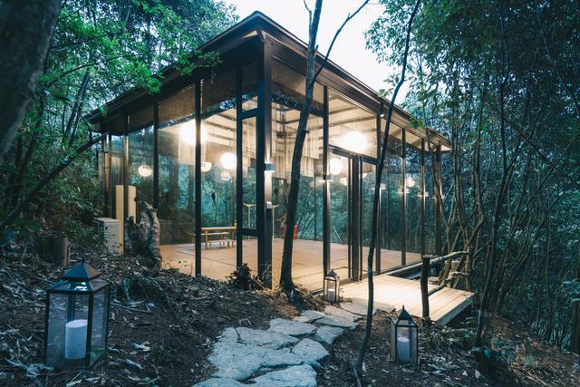 有茶有住有玩藏在武夷山的民宿