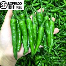 比肉还贵！1斤328元，樟树港辣椒凭什么卖那么贵？ - 知乎