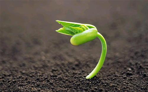 v2-9132048f0b8e27511bb8e3793b0d7a80_1440w.jpg?source=172ae18b