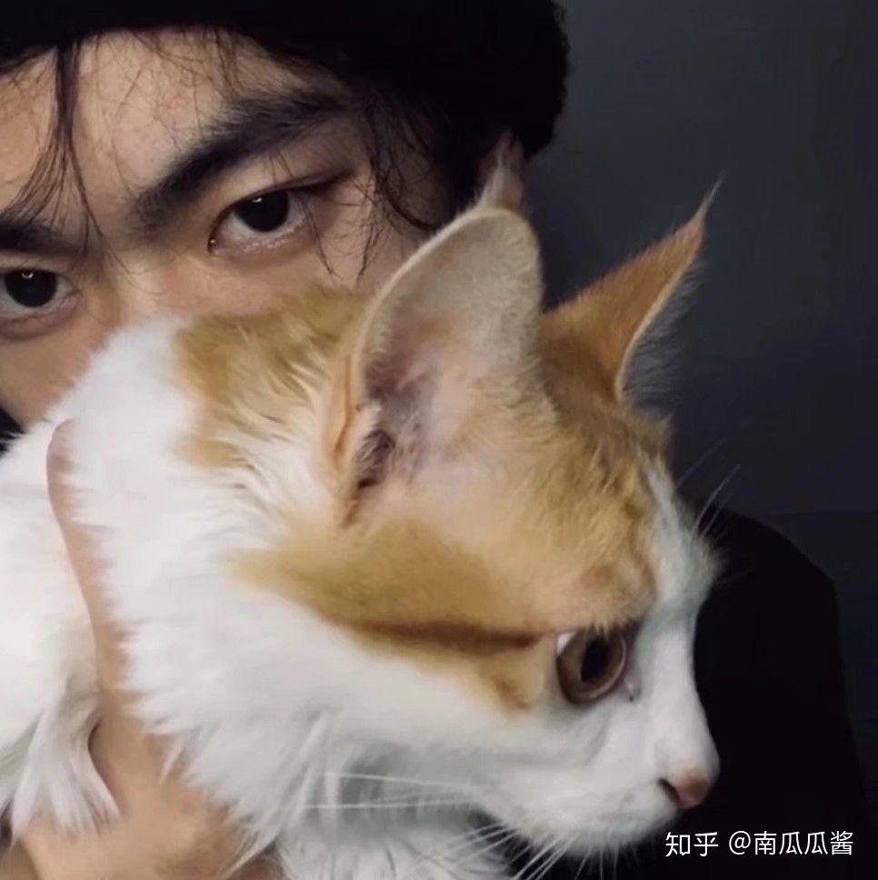 男生头像|只要精神小伙在 哪里都是实力派 - 知乎