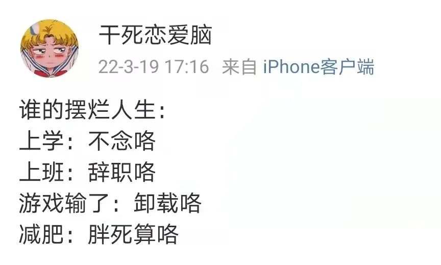 海绵收割机烘干昆虫救援南瓜公司披萨施工杀手卡路里糖霜雪注意脚下16