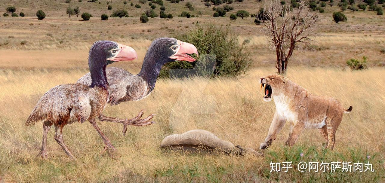 前 言如果把繁盛于二叠纪的丽齿兽类作为开端起算的话,那么包括后续