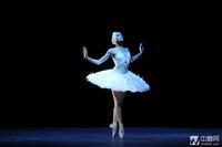 品牌故事创业很难但坚持很酷二