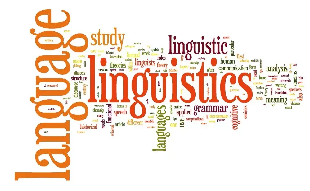 我是一门科学不是学一门语言纠正语言学最大的误区