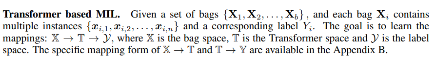 TransMIL: 基于 Correlated Multiple Instance Learning Transformer 用于 WSI ...