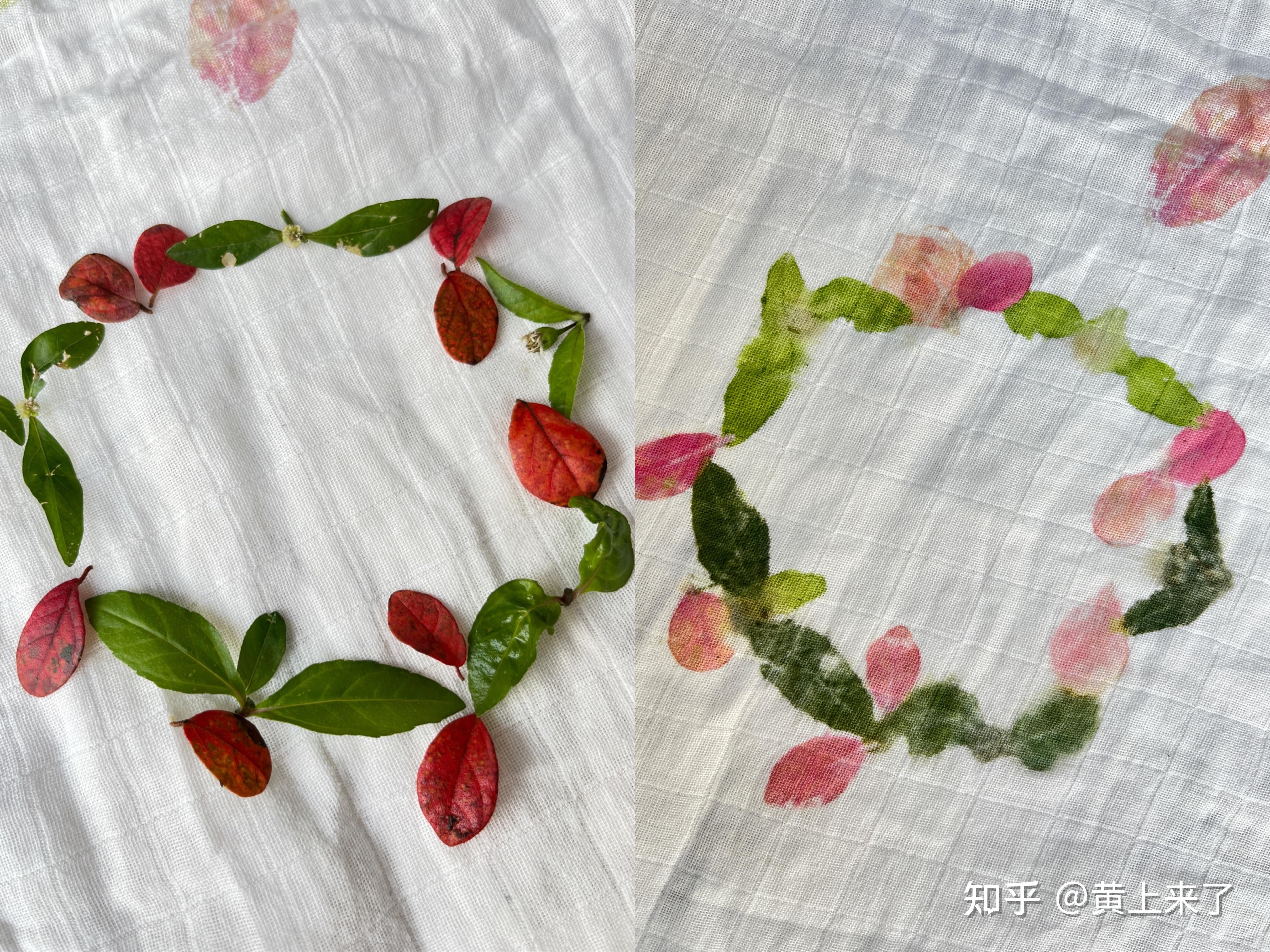 植物拓染:带娃敲敲敲,捶出一颗圣诞树