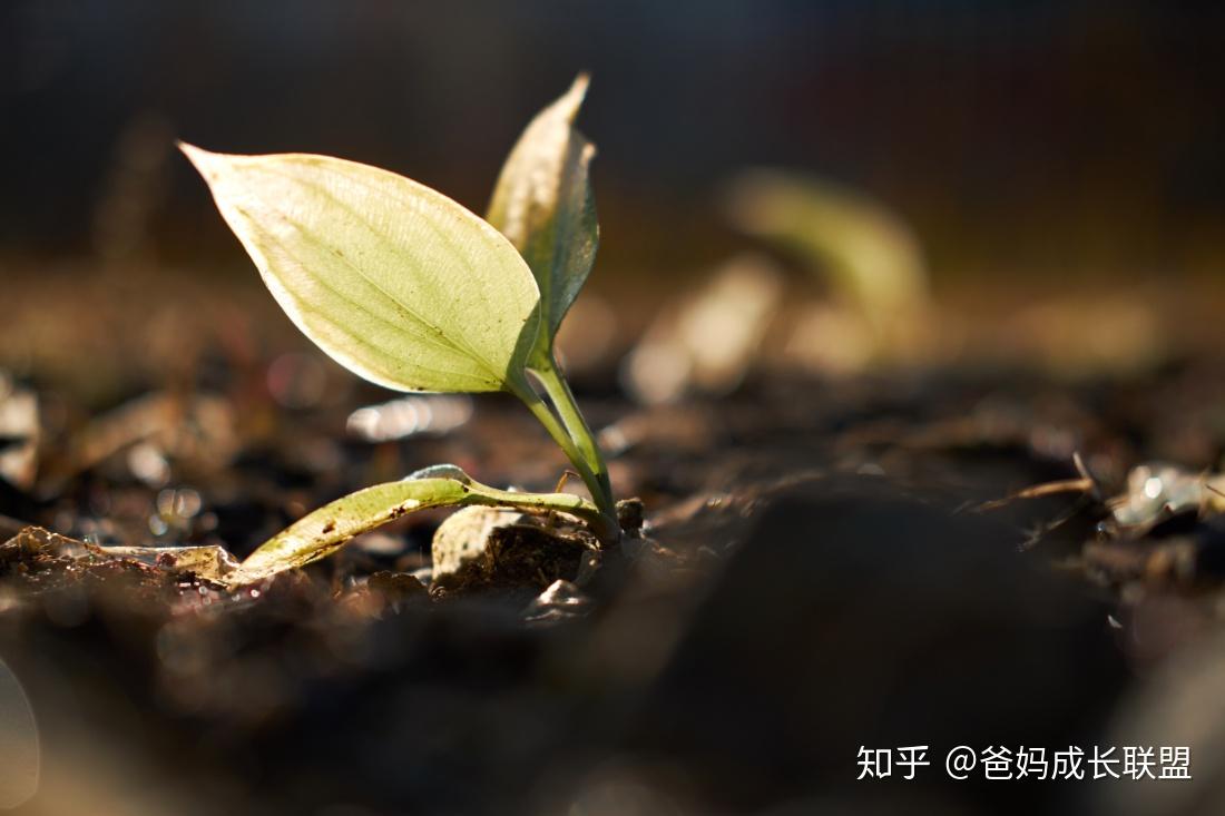 孩子不是石头,我们推一下它就会动.