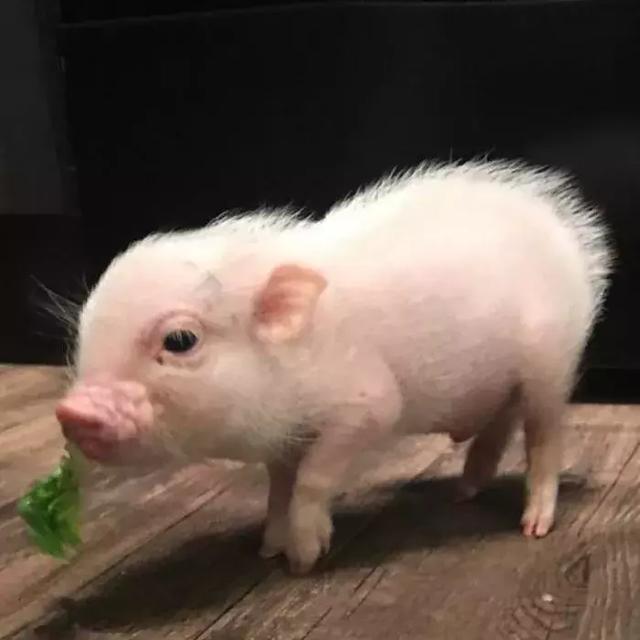 女生说"滚"时男生该怎么办?