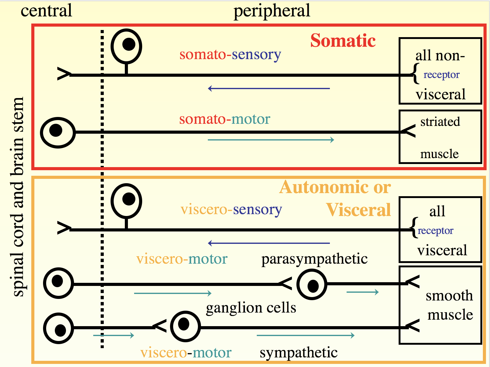排尿(micturition),俗称之一是放水.