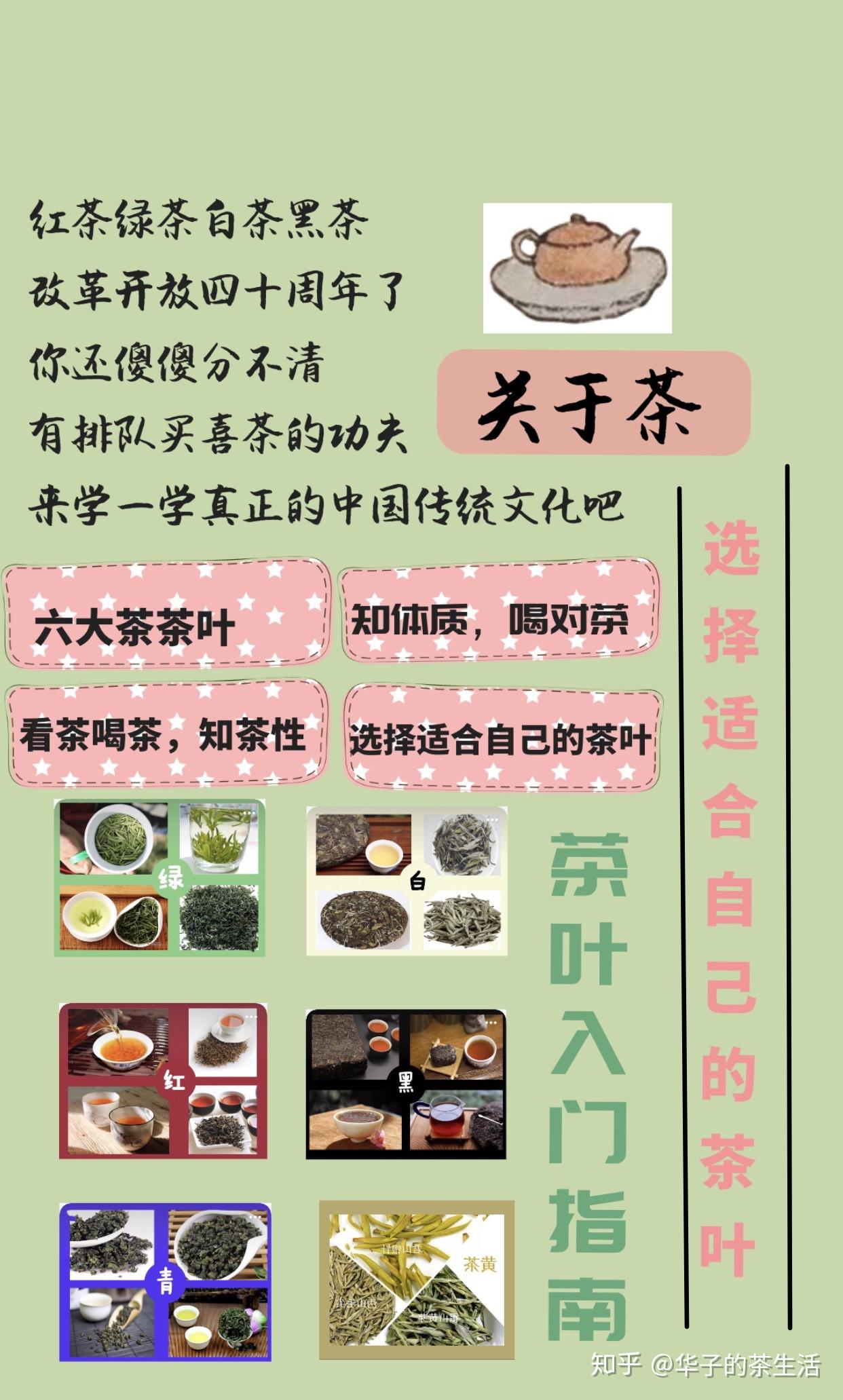 茶叶入门小知识如何选择到适合自己的茶叶