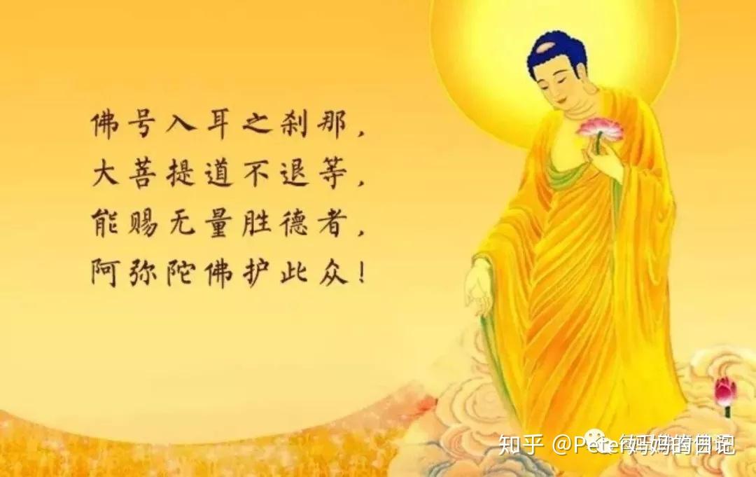 感恩您关注《每日佛音佛语》,如果您觉得这篇文章能引发您的共鸣,请