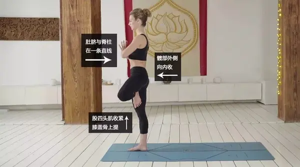 跟我学瑜伽 | 树式Vrksasana - 知乎