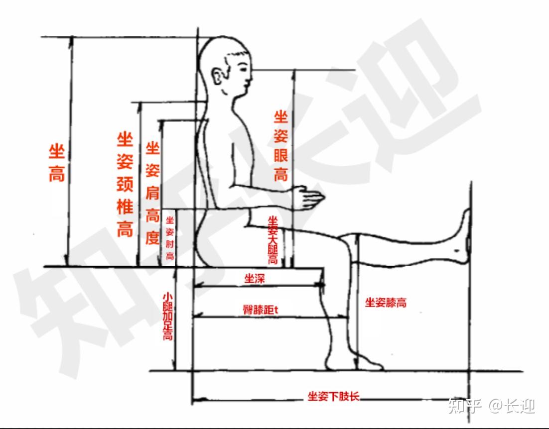 大牌高端人体工学椅有哪些推荐有谱flymax保友金豪b